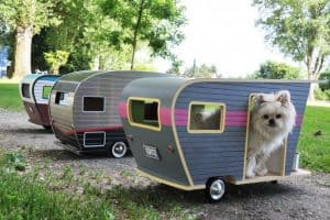 Is It Safe To Leave A Pet In An RV